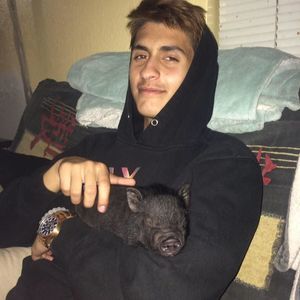 Meet your Posher, Wesley